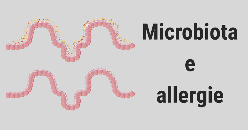 microbiota allergie